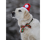 Weihnachtsmtze Santa fr Hunde