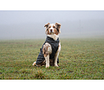 Hundemantel Archie mit Teddyfleece-Innenfutter, 160 g