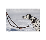 Runde Leder-Hundeleine Certaldo