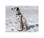 Runde Leder-Hundeleine Certaldo