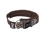 Hundehalsband Becks