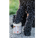 Pfotenschutz-Balsam Soft Velvet fr Hunde