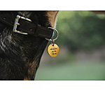 Charm fr Hunde Travel Buddy