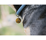 Charm fr Hunde Travel Buddy