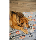 Tau-Spielzeug Jack für Hunde