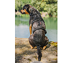 Sicherheitsgeschirr Irmi fr Hunde