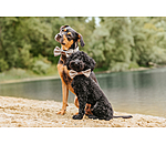 Fliege Tribal Love für Hunde