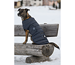 LED-Hunde-Steppjacke Arlo, 300 g