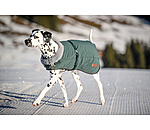 Winter-Hundemantel Gizmo mit Teddyfell-Innenfutter, 200 g