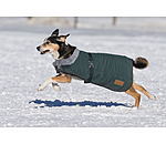 Winter-Hundemantel Gizmo mit Teddyfell-Innenfutter, 200 g