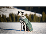 Winter-Hundemantel Gizmo mit Teddyfell-Innenfutter, 200 g
