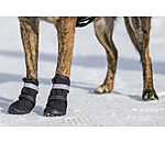 Pfotenschutz-Schuhe Antarctica für Hunde