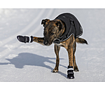 Pfotenschutz-Schuhe Antarctica für Hunde