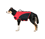 Hunde-Schwimmweste Life Guard