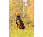 Winter-Hundemantel Marlon, 200-300 g