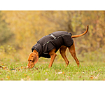 Winter-Hundemantel Marlon, 200-300 g