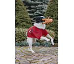 Hundespielzeug Gingerman