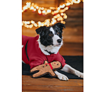 Hundespielzeug Gingerman