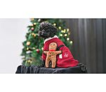 Hundespielzeug Gingerman