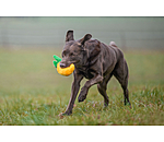 Hundespielzeug Pineapple