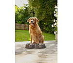 Doppel-Futterstation