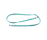 Halsband und Leine Set Zap