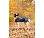 Hundemantel mit Liner-System Northwood
