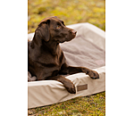 Hundebett Komet