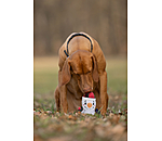 Hundespielzeug Schneemann