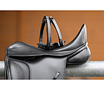 Sicherheitssteigb�gel Pro Safety