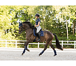 Funktionsgamaschen Swiss Design (Vorderbeine)