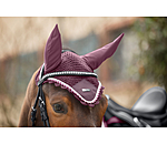 Fliegenhaube Swiss Design
