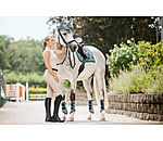 Fliegenhaube Swiss Design