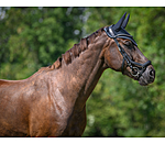 Fliegenhaube Sporty Standard