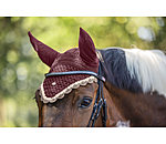 Fliegenhaube Primary