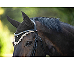 Fliegenhaube Primary