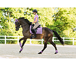 Fliegenhaube Sophistication