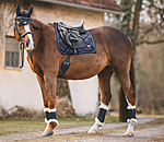 Fliegenhaube Signature II