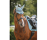 Fliegenhaube Mesh-Technology