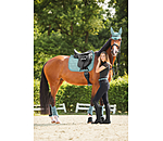 Fliegenhaube Mesh-Technology