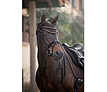 Fliegenhaube Glimmering