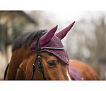 Fliegenhaube Glimmering