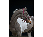 Anatomisches Halfter Sophistication