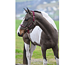 Anatomisches Halfter Sophistication