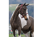 Anatomisches Halfter Sophistication