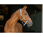 Anatomisches Halfter Sophistication