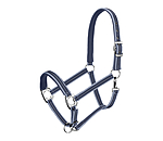 Halfter Swiss Design II