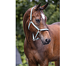 Halfter Essential II