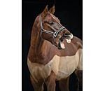 Halfter Essential II