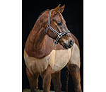 Halfter Essential II